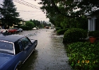 Flood 0013