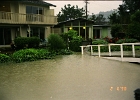 Flood 0016