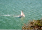 Angel Island-36