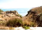 Beach-19