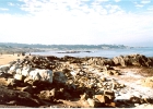 Carmel-05
