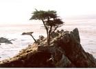 Carmel-07