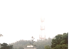 Golden Gate Park-03