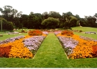 Golden Gate Park-05