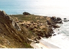 Marin County Coast-02