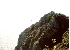 Marin County Coast-04