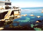 Monterey Aquarium-01