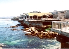 Monterey Aquarium-12