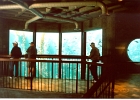 Monterey Aquarium-20