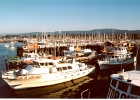 Monterey Aquarium-21