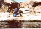 Monterey Aquarium Sea Otters-01