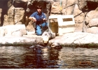 Monterey Aquarium Sea Otters-02