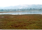 Morro Bay-03