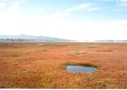Morro Bay-04
