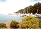 Morro Bay-05