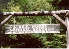 Muir Woods-00