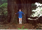 Muir Woods-18