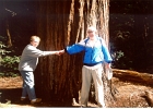 Muir Woods-28