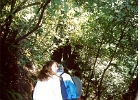 Muir Woods-29