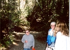 Muir Woods-33