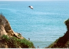 Pelicans-04