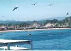 Santa Cruz-01