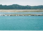 StinsonBeach-16