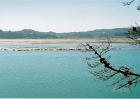 StinsonBeach-17