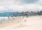 StinsonBeach-25