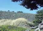 MVC01851