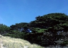 MVC01853