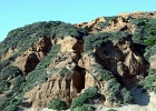 MVC01857