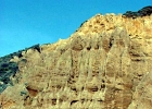 MVC01872