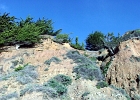 MVC01889