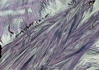 MVC01895
