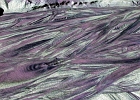MVC01896