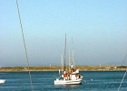 MVC01913