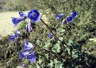 MVC01926