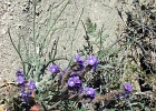 MVC01929
