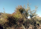 MVC01933