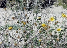 MVC01934