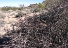MVC01936