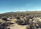 MVC01940