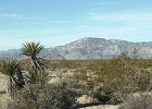 MVC01944
