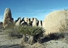 MVC01967