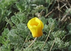 MVC01995