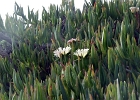 MVC02008