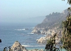 MVC02021