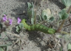 MVC02123