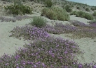 MVC02125